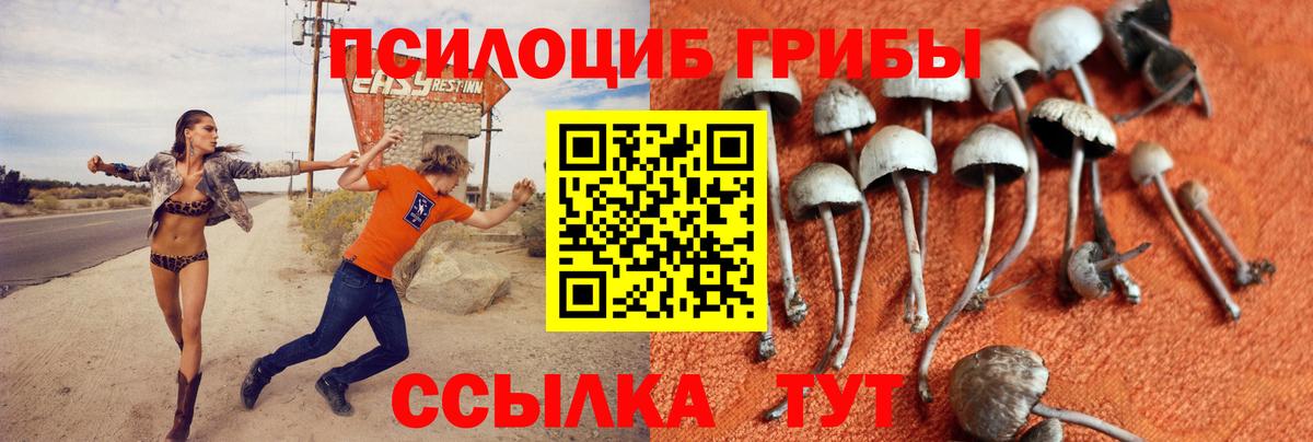 Псилоцибиновые грибы ЛСД  Вход с VPN  Полевской 